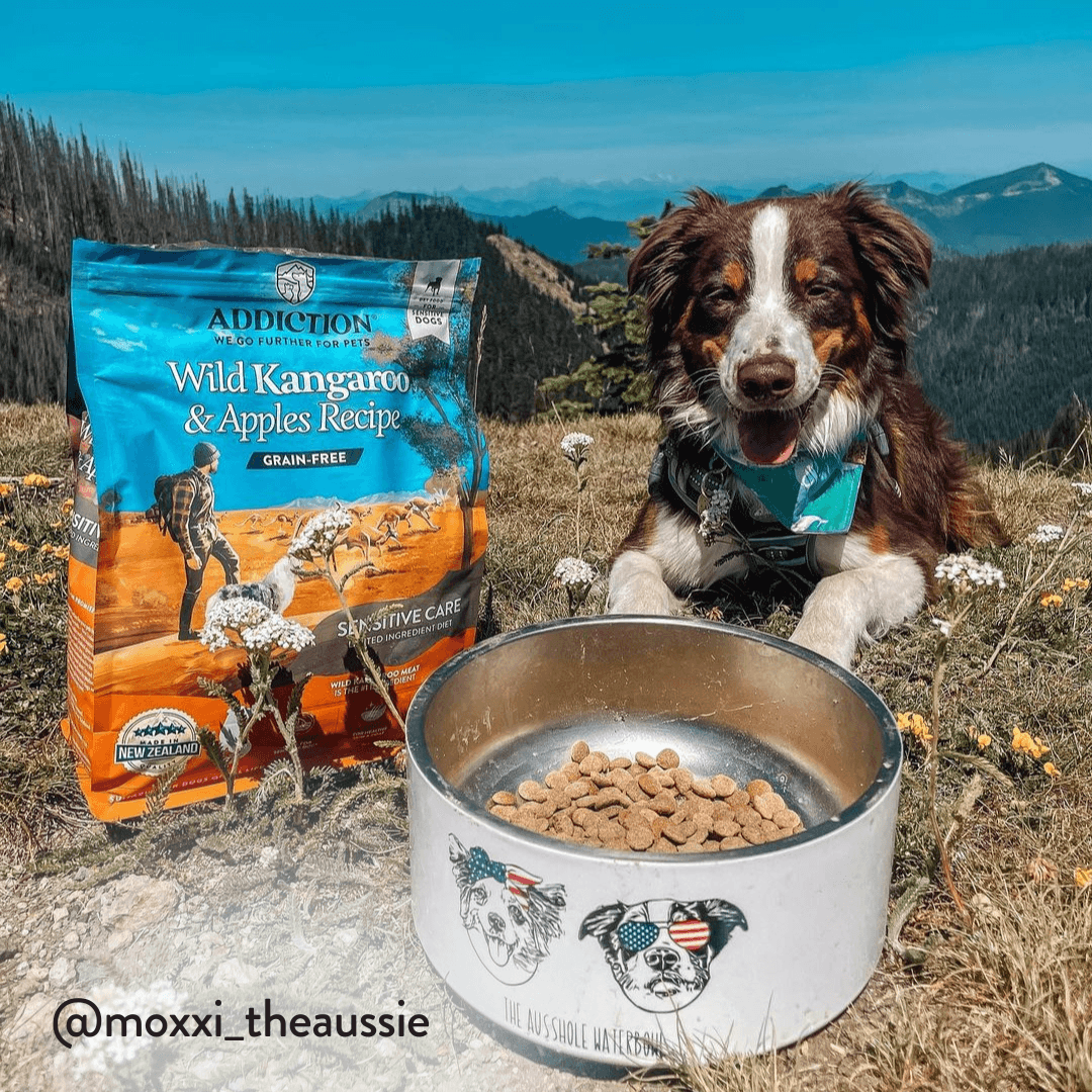 Wild Kangaroo & Apples Dry Dog Food